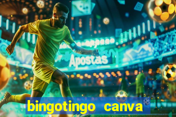 bingotingo canva pro gratis